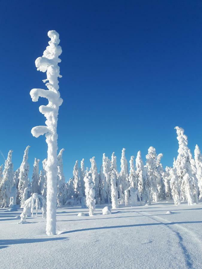Valkea Arctic Lodge Пелло Екстер'єр фото